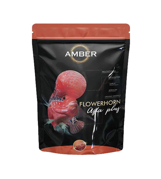 Amber Asta Plus Flower Horn 100gm Pouch