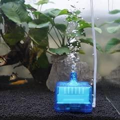 Mini Bio Sponge Filter with Filter Media and Airstone - FreshWaterAquatica.com