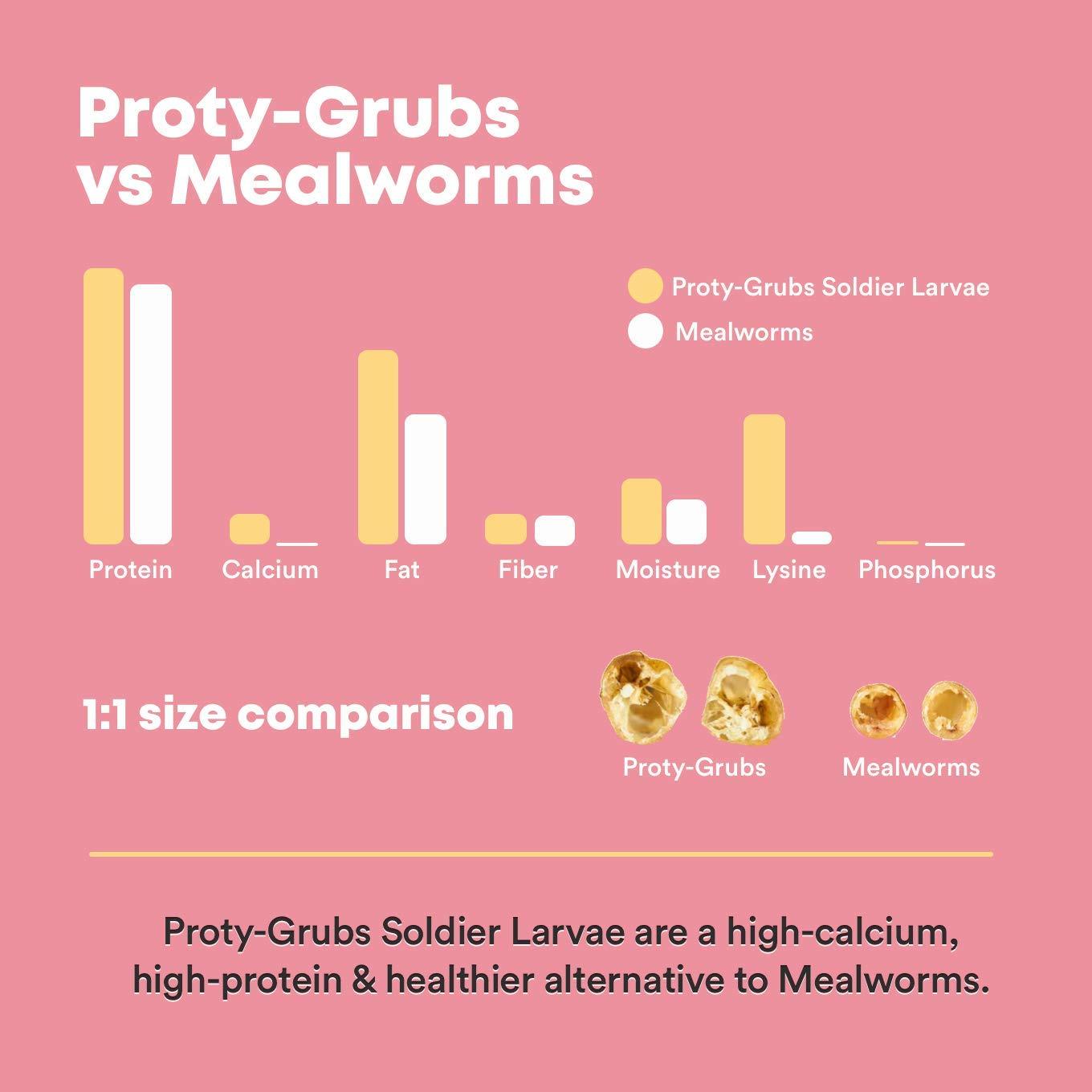 Small Dried Larvae - high Growth Fish Food for Goldfish, Angelfish, Mollies, Carps, Cichlids, Fancy carps (50 Gm) - FreshWaterAquatica.com