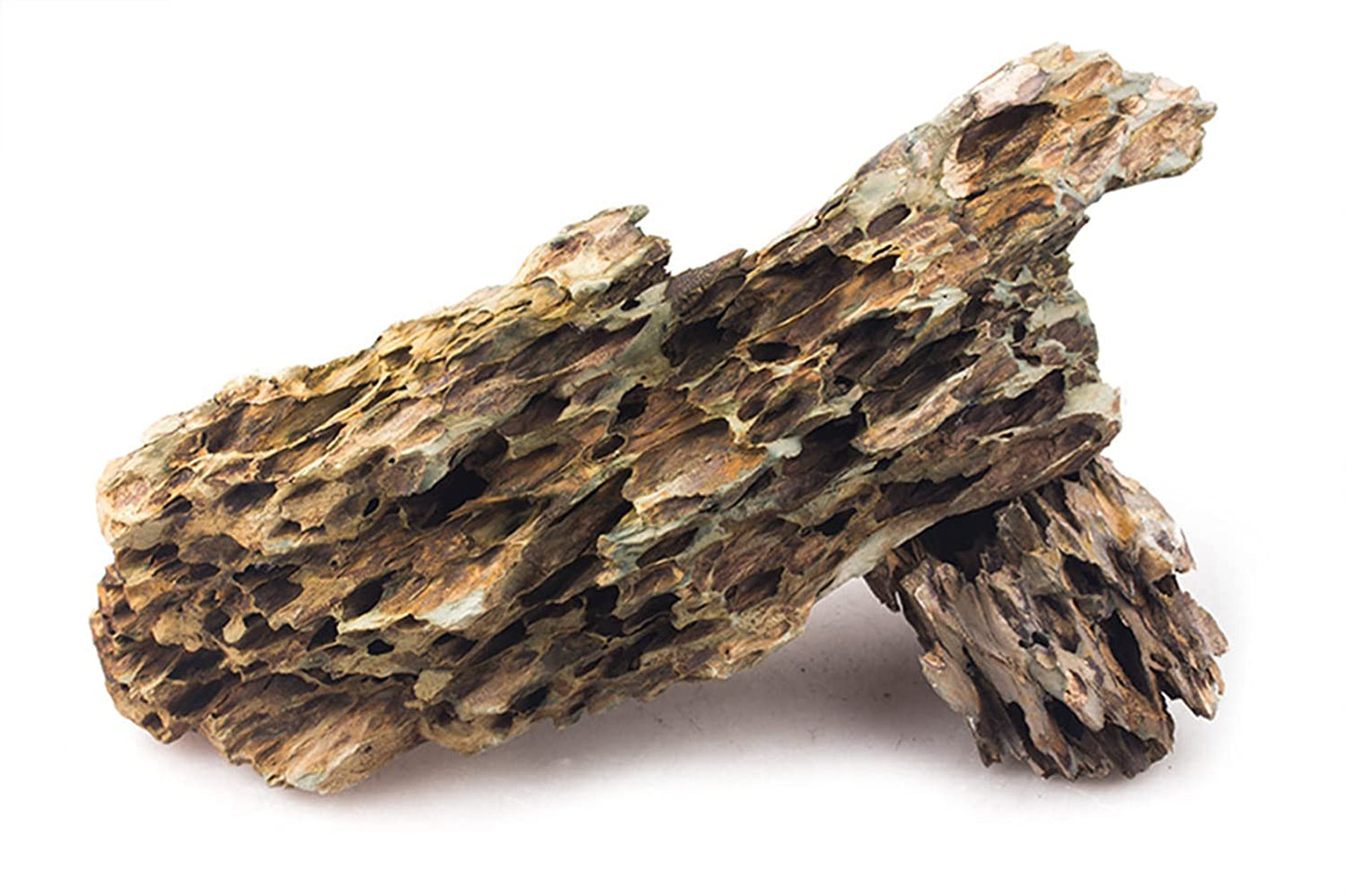 Dragon rock - FreshWaterAquatica.com