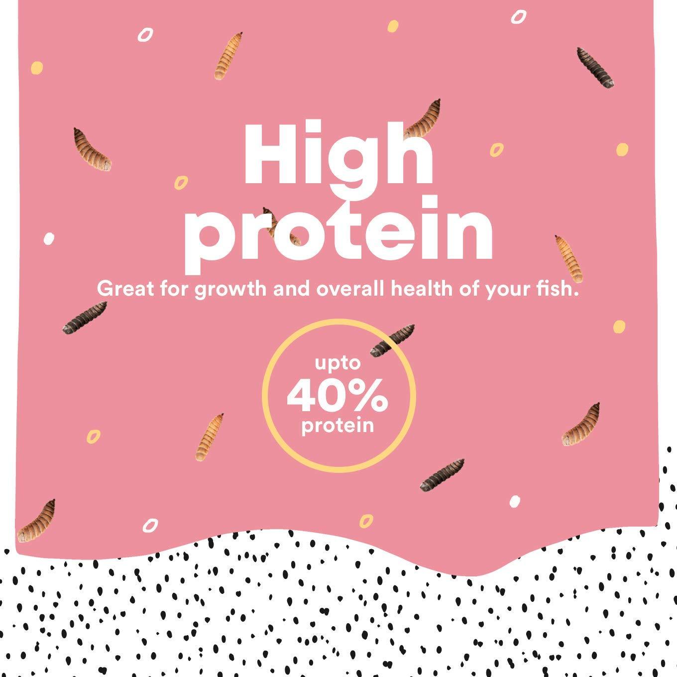 Small Dried Larvae - high Growth Fish Food for Goldfish, Angelfish, Mollies, Carps, Cichlids, Fancy carps (50 Gm) - FreshWaterAquatica.com