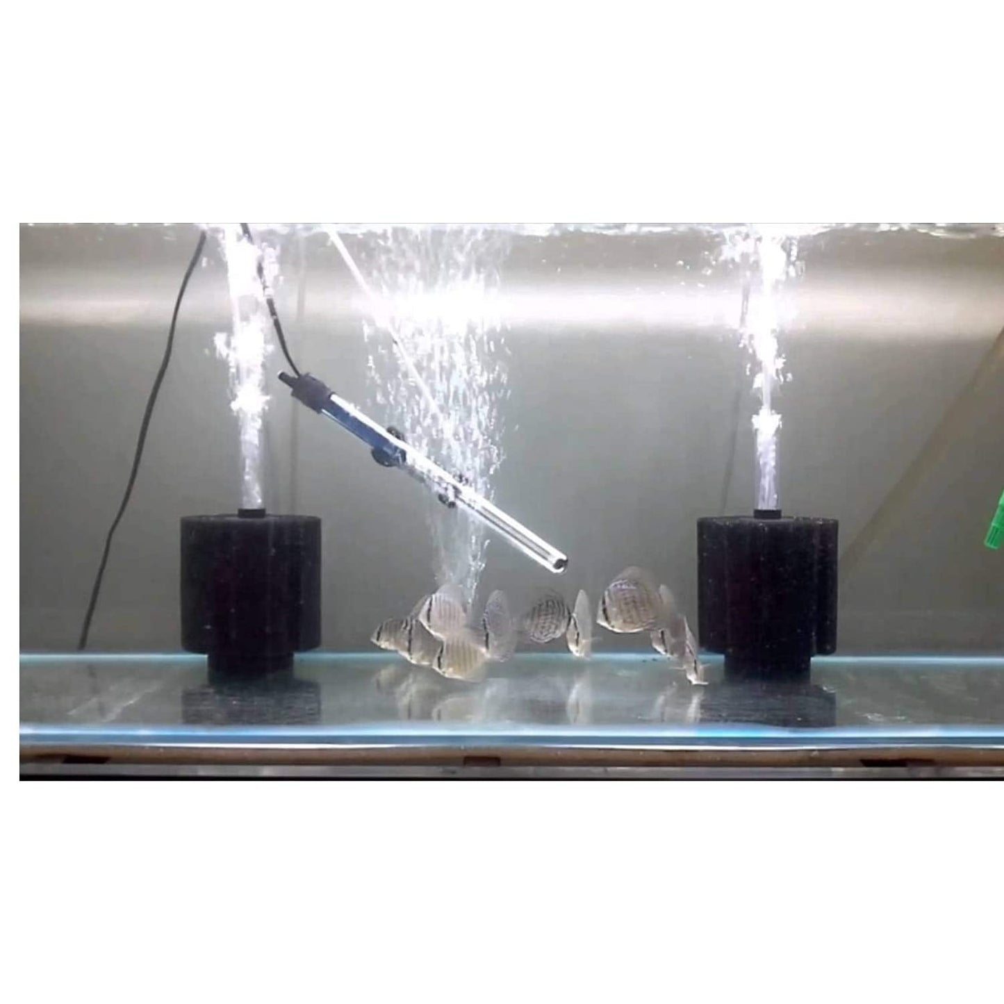 Aquarium Bio-Chemical Internal Sponge Filter for Fish Tank XY-2835 (Small), 1 Piece - FreshWaterAquatica.com