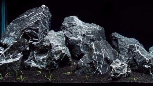 Seiryu Rock - FreshWaterAquatica.com