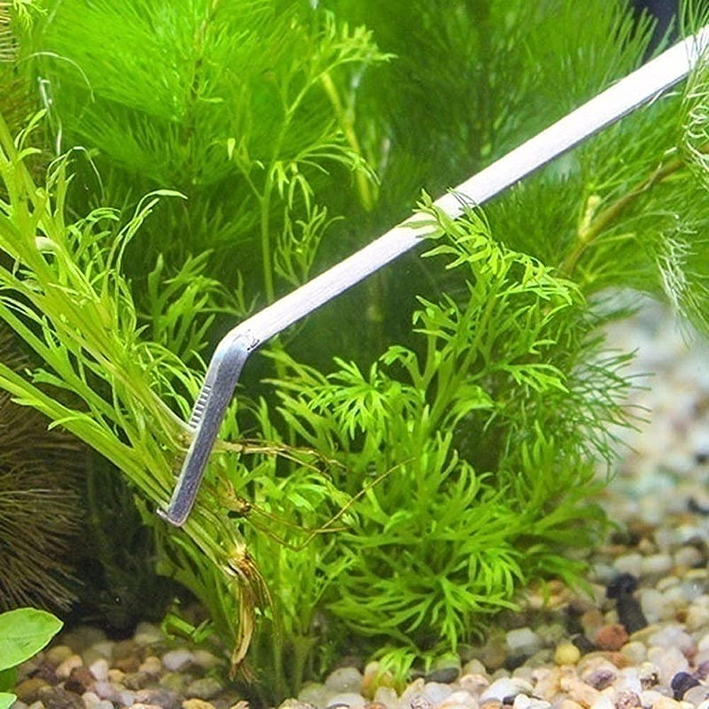 Newlly Aquarium Aquascaping Tools for Fish Tank Aquarium Live Plant (38cm, Curved Tweezers) - FreshWaterAquatica.com