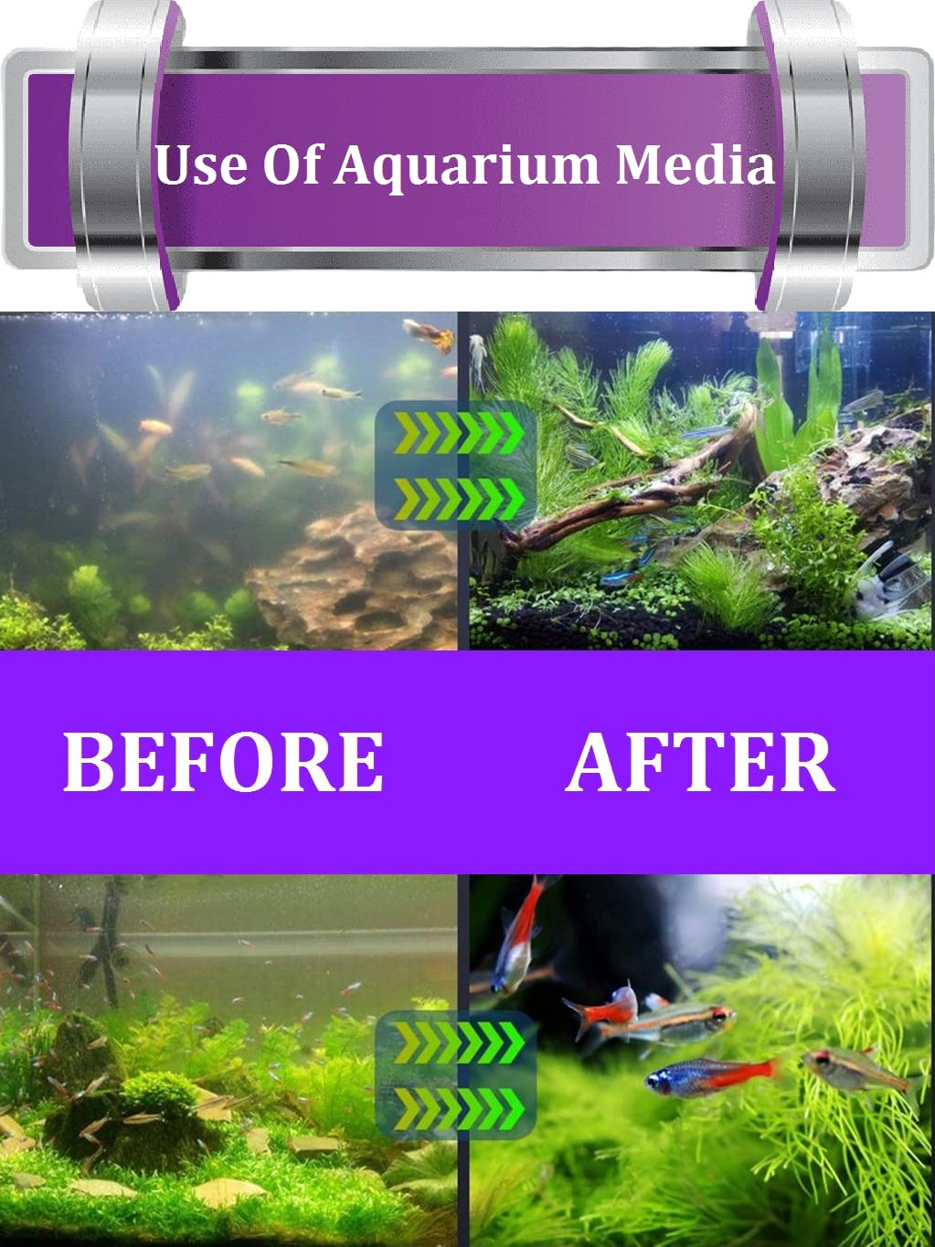 Aquarium Filter Media, 250G Ceramic Rings, Activated Carbon, 10Pcs Bio Balls and bio Media Aquarium Sponge Filter for Fish Tank. - FreshWaterAquatica.com