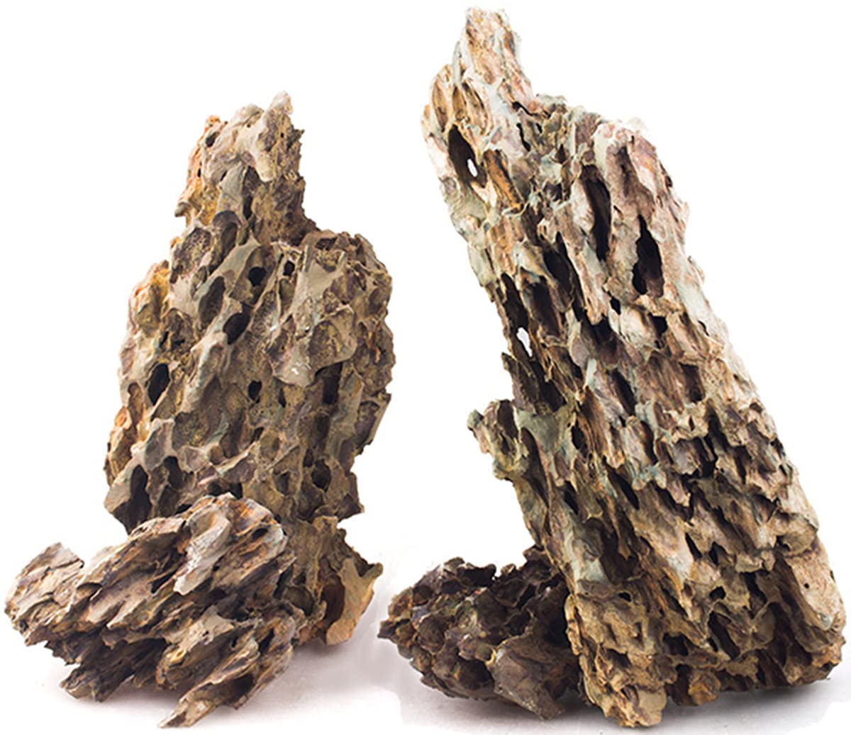 Dragon rock - FreshWaterAquatica.com