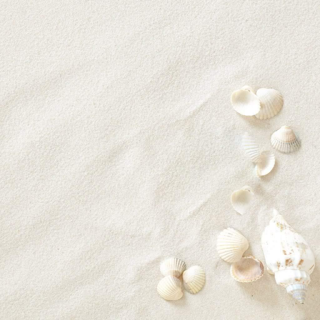 Sugar Size Crystal Sand for Home and Garden Decor, Aquarium Substrate (Cerulean Blue, 2.5 Kg) - FreshWaterAquatica.com