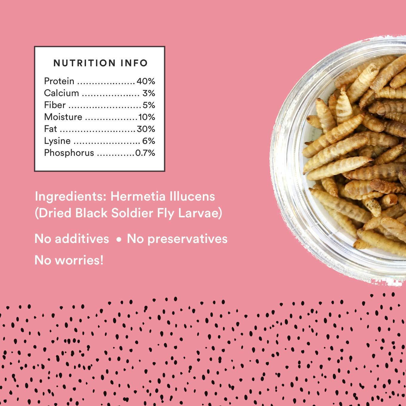 Small Dried Larvae - high Growth Fish Food for Goldfish, Angelfish, Mollies, Carps, Cichlids, Fancy carps (50 Gm) - FreshWaterAquatica.com
