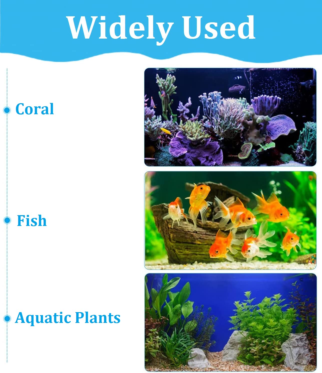 Despacito 6pcs Aquarium Biochemical Sponge Filter Mechanical and Biological Filtration Sponge for top Filter Sponge Filter for Aquarium(Size: 38x12x2cm) - FreshWaterAquatica.com