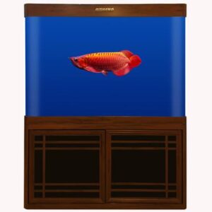 RS-100HF RS120HF RS150HF AQUARIUM SET