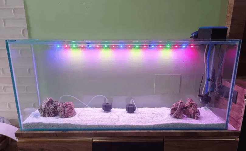 Used Aquarium - FreshWaterAquatica.com