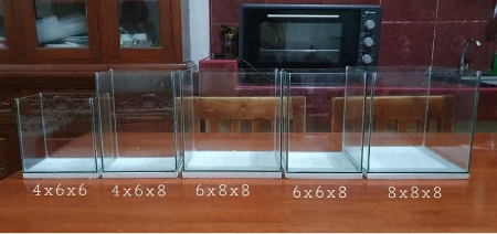 Desktop Small Tanks New - FreshWaterAquatica.com