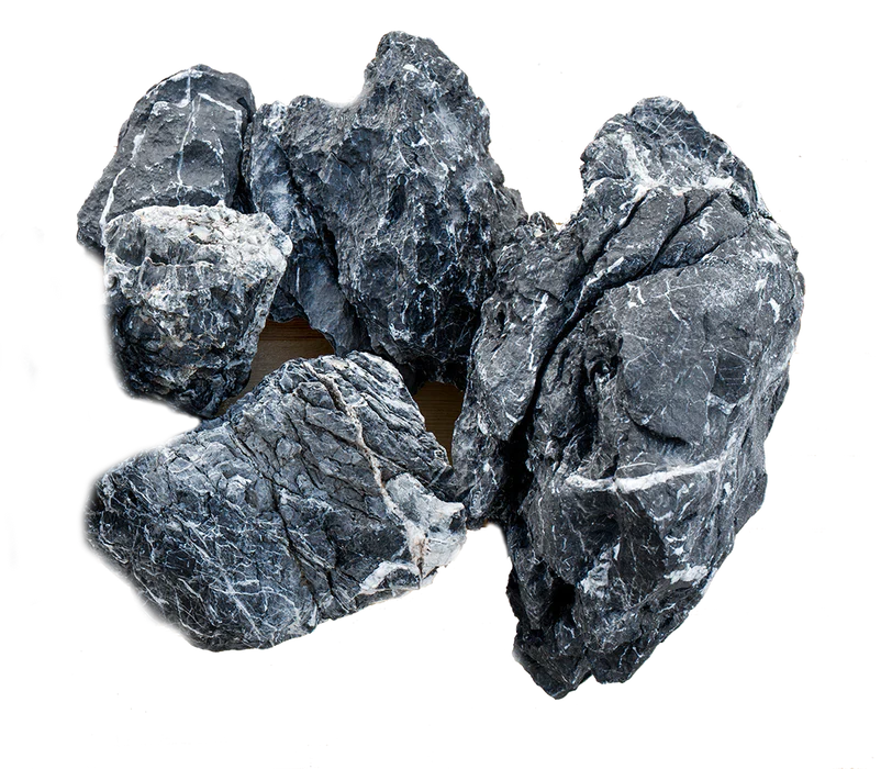 Seiryu Rock - FreshWaterAquatica.com