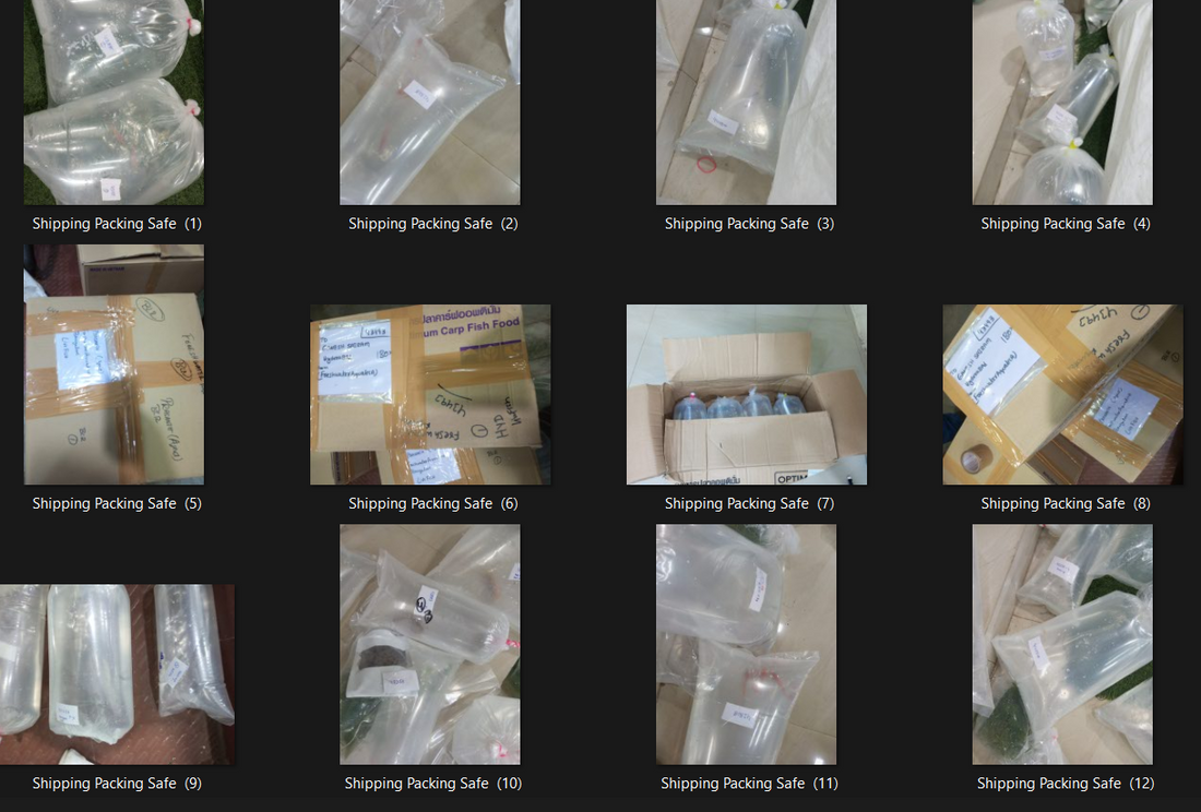 PACKAGES for dispatch