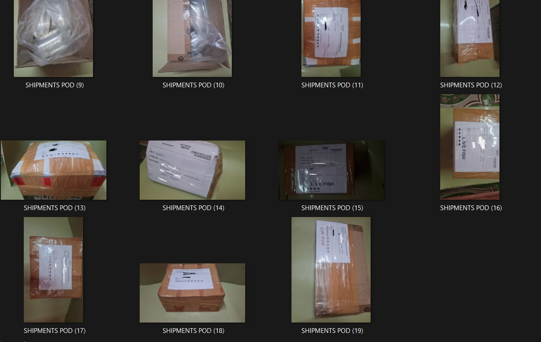 Shipments of Session 7pm
