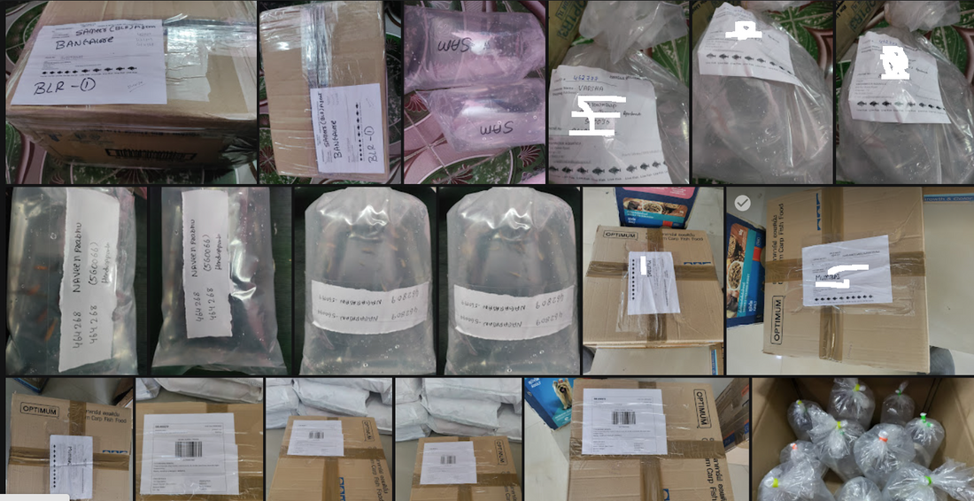 Updated Shipment package