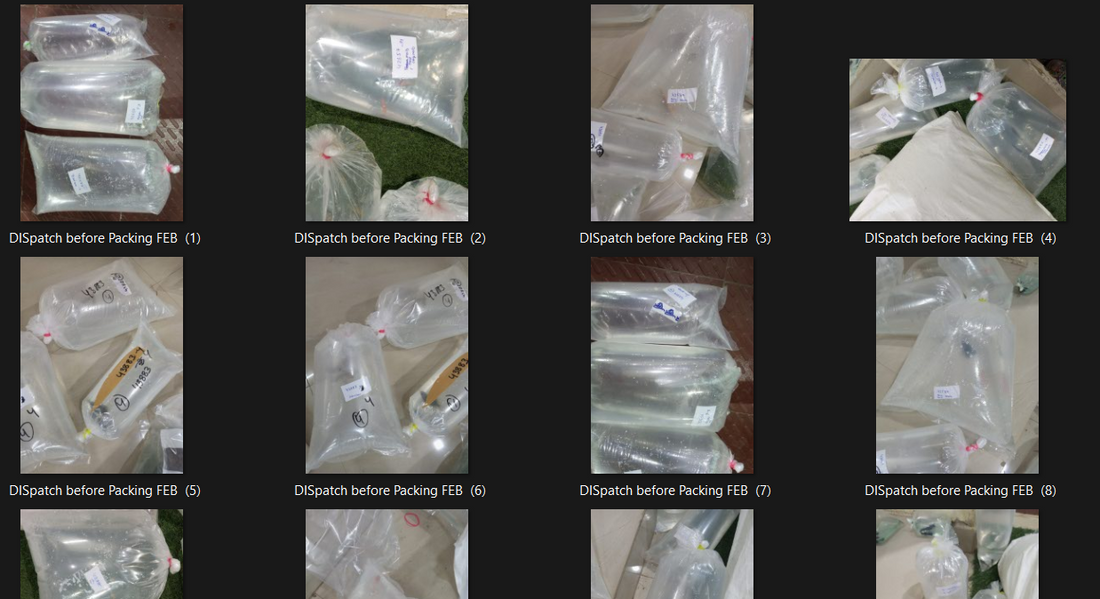 Packing Dispatch parcels Session-4