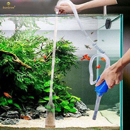 Aquarium Cleaning Services