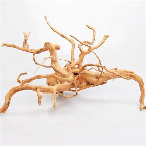 Drift Wood