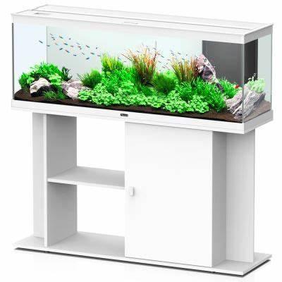 Customized Glass Aquariums