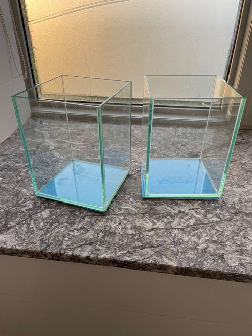 Betta Fish Tank | FRESHWATERAQUATICA