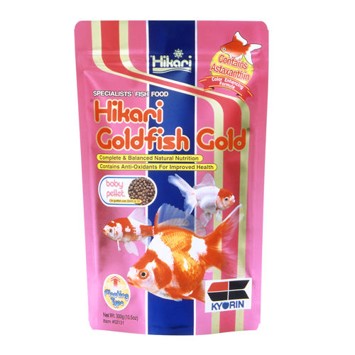 Hikari Gold Baby