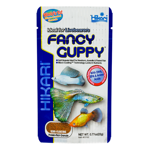 HIKARI FANCY GUPPY