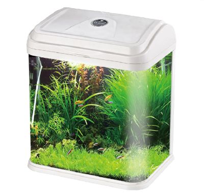 RS-230EL Aquarium Tank