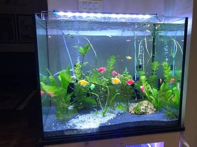 Used Aquarium - FreshWaterAquatica.com