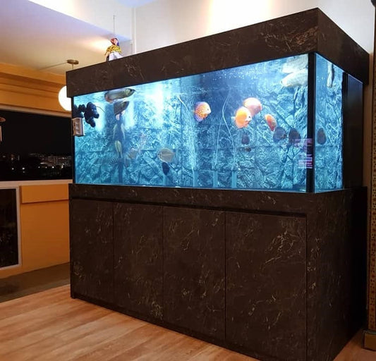 5 Feet AQUARIUM Tank - FreshWaterAquatica.com