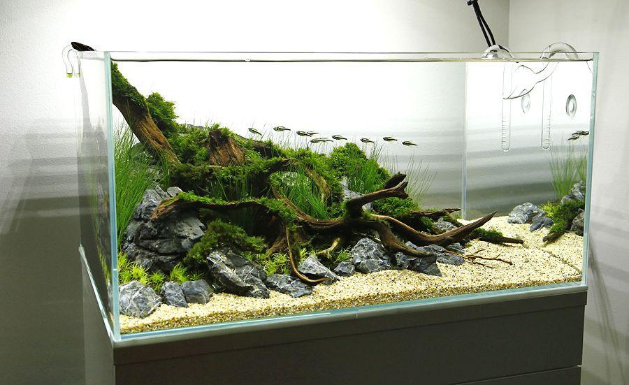 ULTRA CLEAR 60*45*45CM (8MM) TANK ONLY - FreshWaterAquatica.com