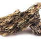 Dragon rock - FreshWaterAquatica.com