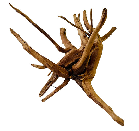 Drift Wood Piece - FreshWaterAquatica.com