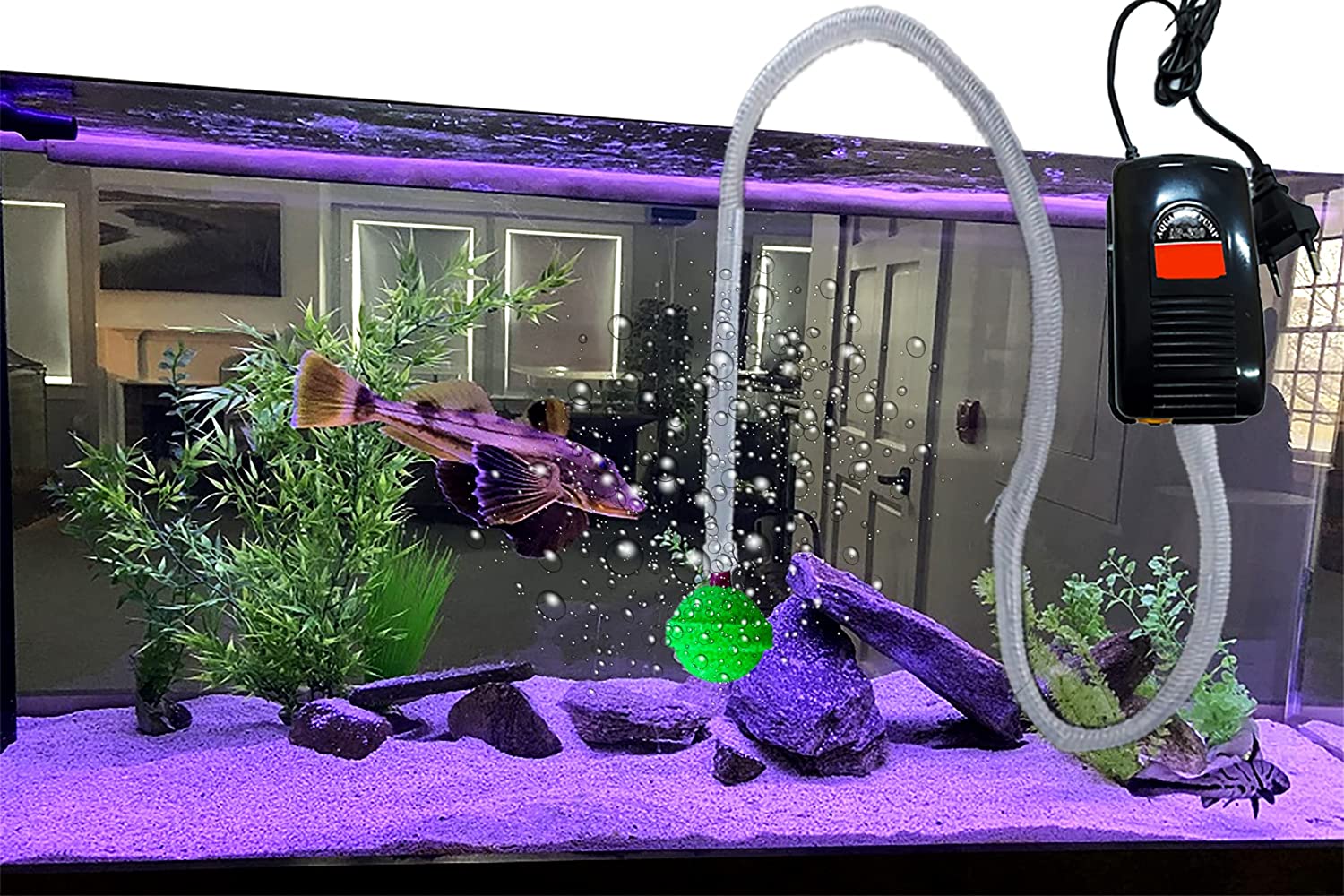 air pump in planted aquarium Aquarium Air Pump Motor with Air Stones & Pipe