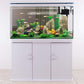 5 Feet Imported Aquarium - FreshWaterAquatica.com