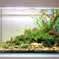 ULTRA CLEAR 60*45*45CM (8MM) TANK ONLY - FreshWaterAquatica.com