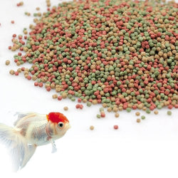 Gold  Fish Food  (FA Brand) - FreshWaterAquatica.com