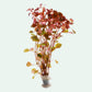 Ludwiga repens