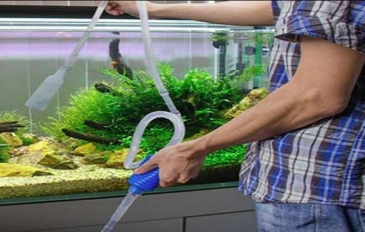 AQUARIUM CLEANING SERVICES for Community tank - FreshWaterAquatica.com