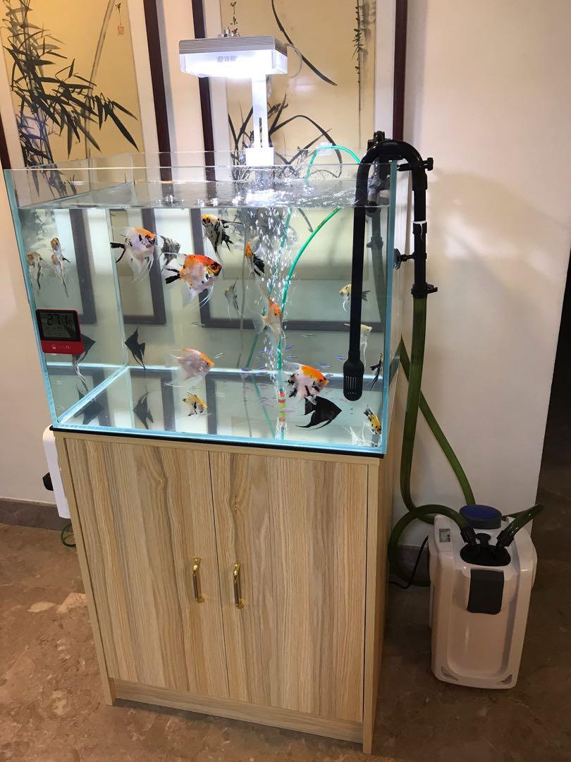 ULTRA CLEAR 60*45*45CM (8MM) TANK ONLY - FreshWaterAquatica.com