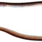 Moringua raitaborua Pink Paddletail Eel