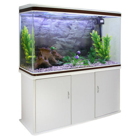 4ft fish shops tank