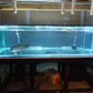 Used aquarium  Code N67 - FreshWaterAquatica.com