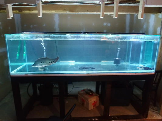 Used aquarium  Code N67 - FreshWaterAquatica.com