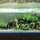 ULTRA CLEAR 60*45*45CM (8MM) TANK ONLY - FreshWaterAquatica.com