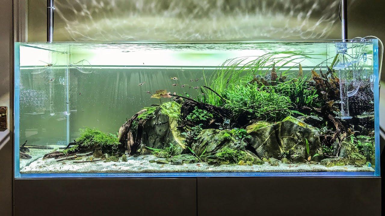 ULTRA CLEAR 60*45*45CM (8MM) TANK ONLY - FreshWaterAquatica.com