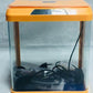 Imported Aquarium - FreshWaterAquatica.com